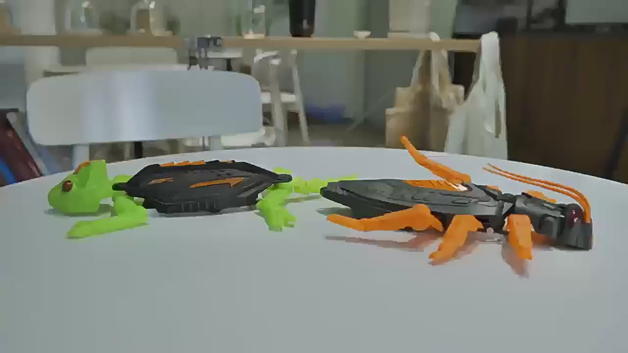 RC Crawling Lizard – Wall & Floor Dual Mode Stunt Toy